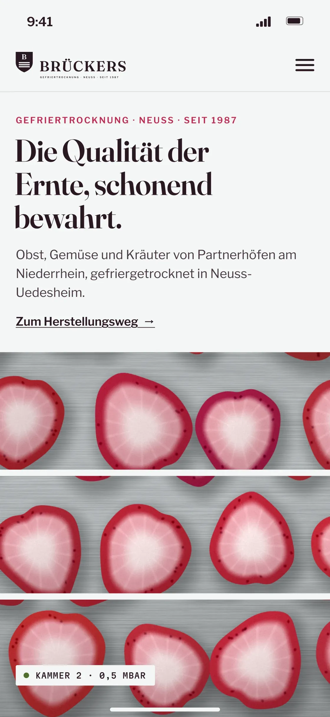 Mobile Startseite von BRÜCKERS: „Die Qualität der Ernte, schonend bewahrt.“ über Erdbeerscheiben in drei Streifen
